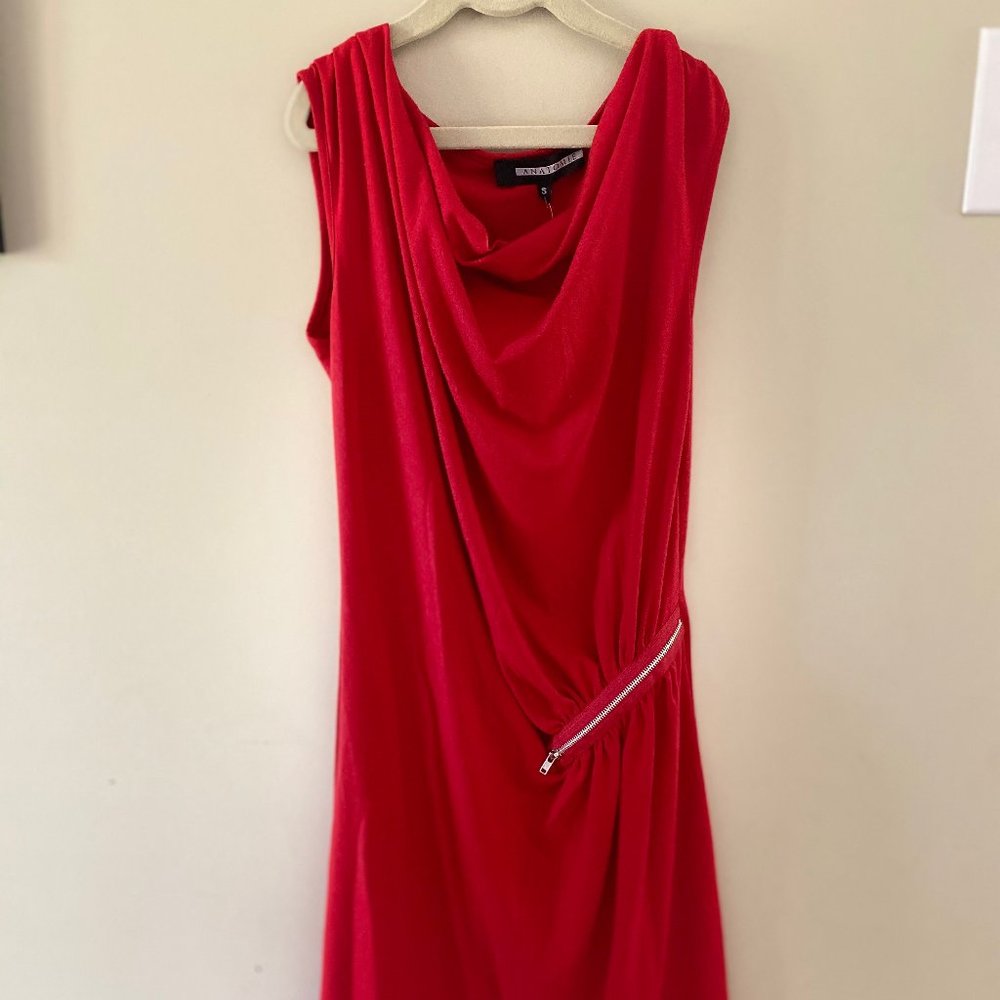 Anatomie brand- red side zip dress